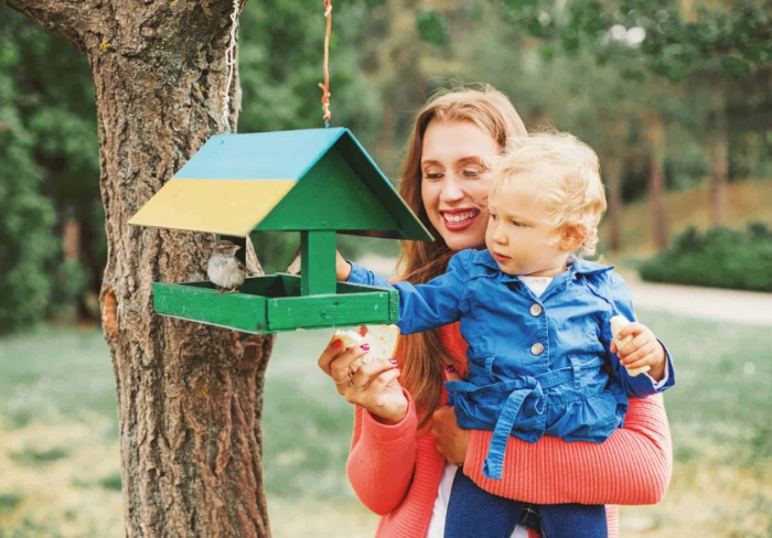 backyard birding kids backyard birding kids