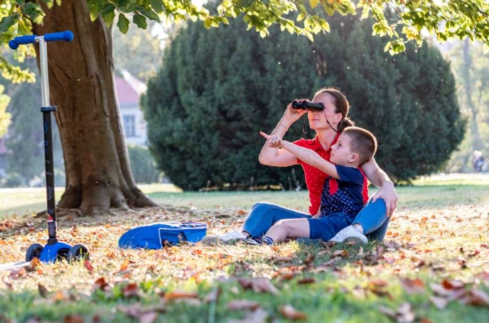 backyard birding kids backyard birding kids