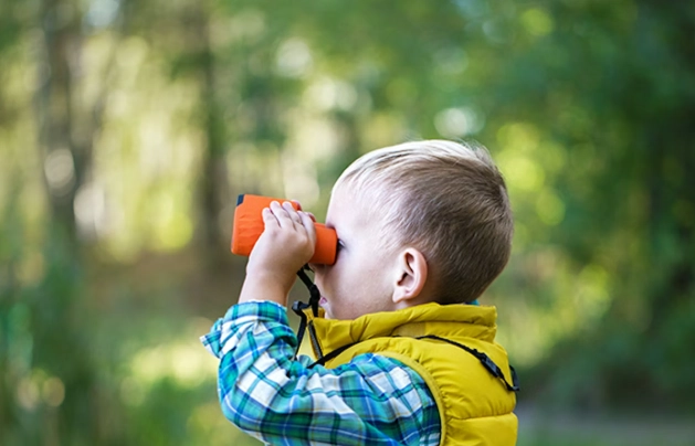 family bird watching family bird watching