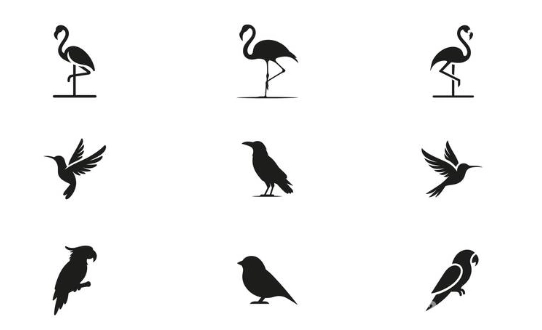 bird identification by silhouette bird identification by silhouette