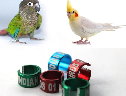 bird band codes