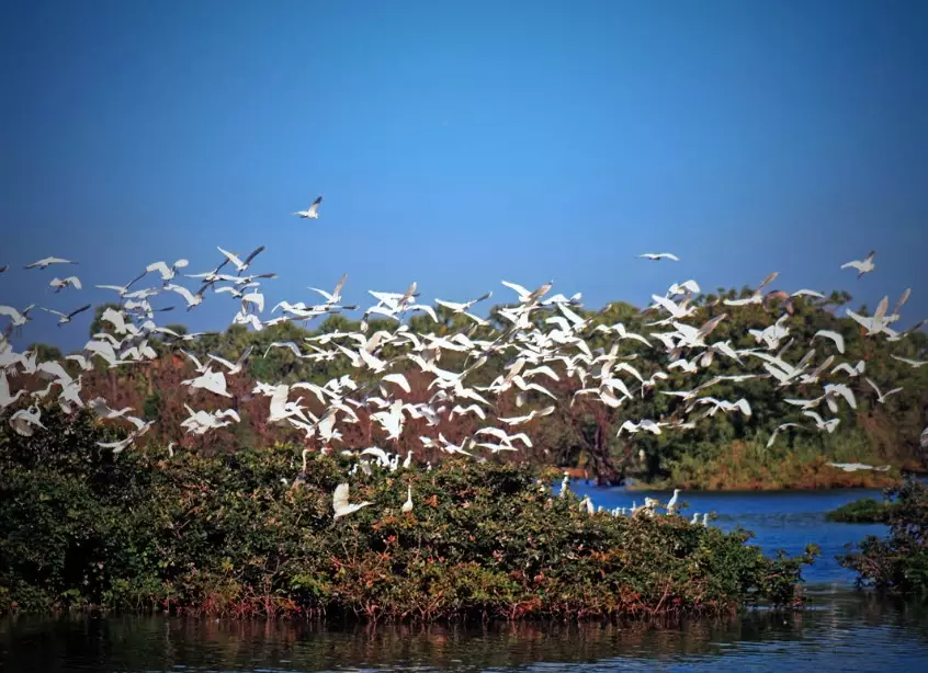 top birding locations America