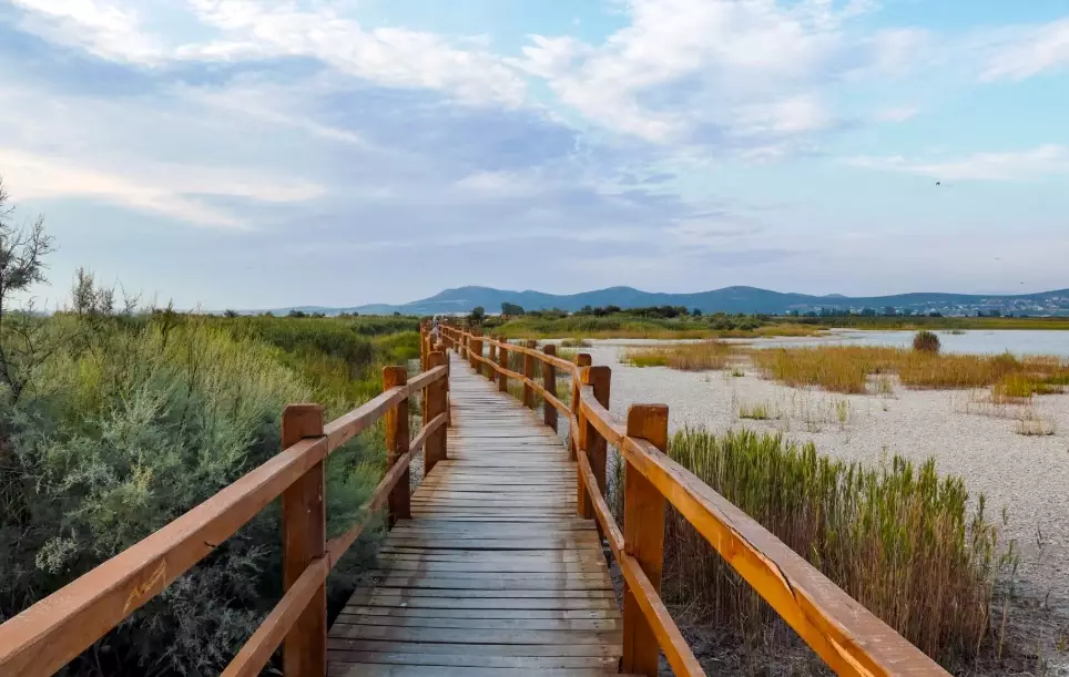 birdwatching hotspots America