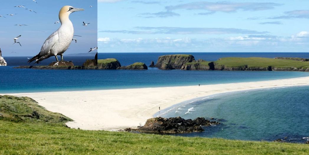 best birding spots Europe