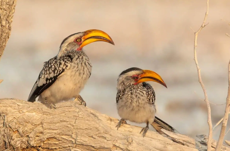 best birdwatching spots