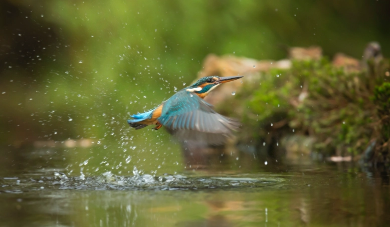 best birdwatching spots