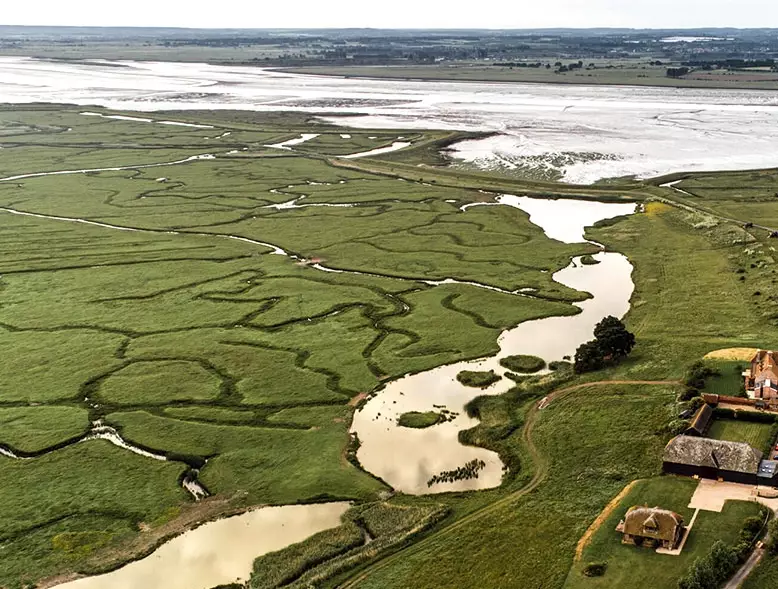 bird watching Europe