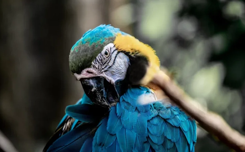 best bird watching destinations