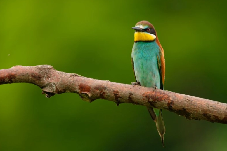 best birdwatching spots