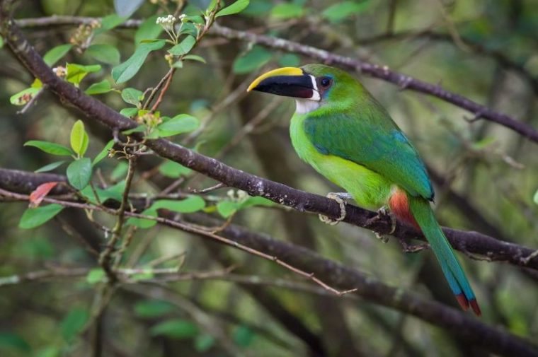 top birding destinations