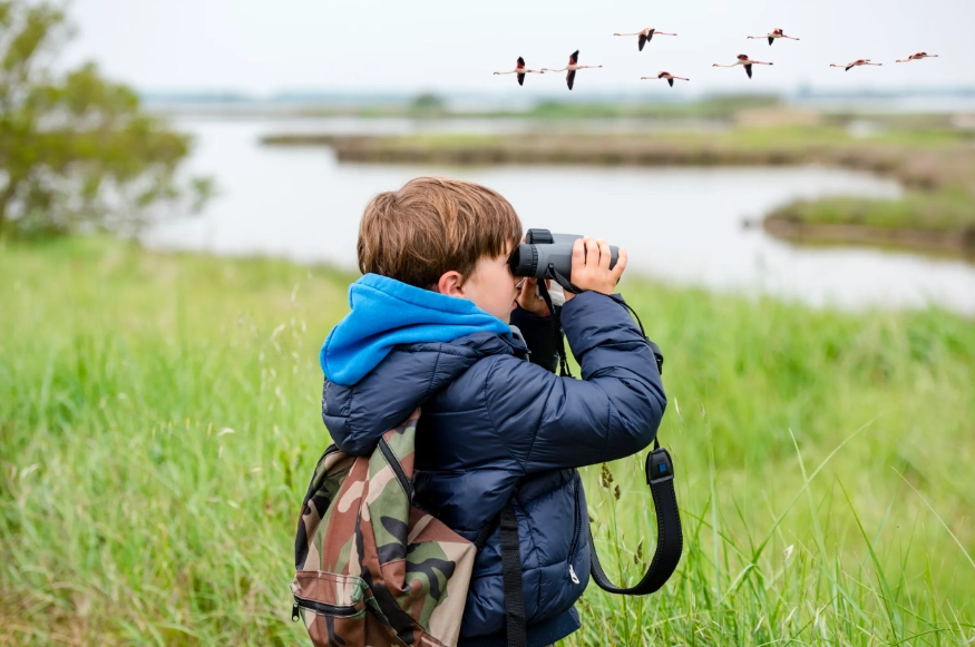 bird watching tips