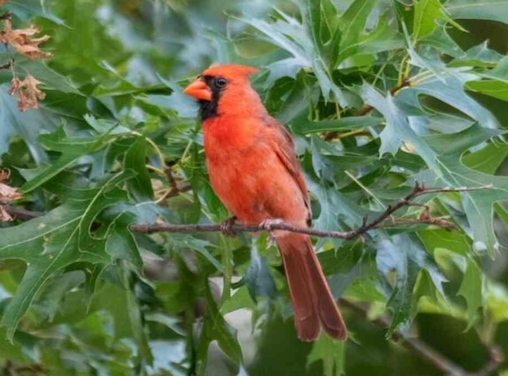 local birding locations