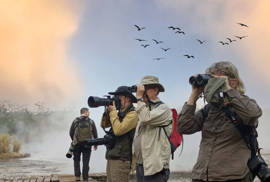 birding fashion mistakes birding fashion mistakes