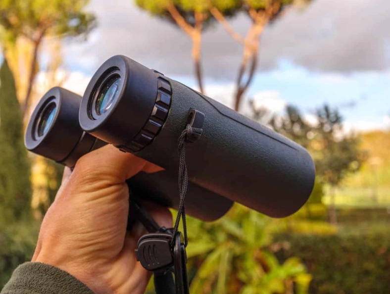 budget birding binoculars