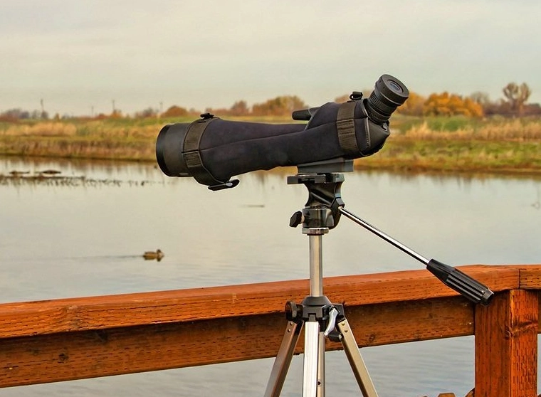 telescope vs spotting scope