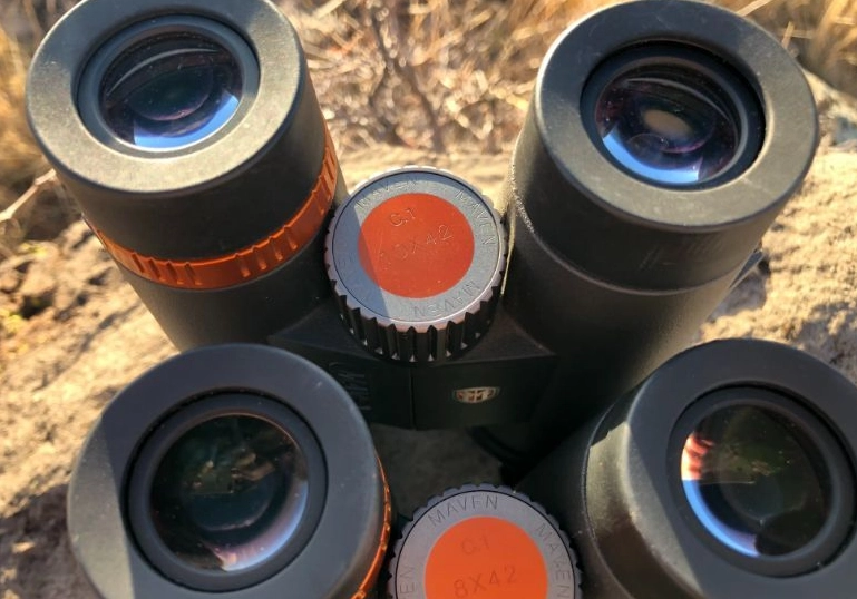 best binoculars for birding