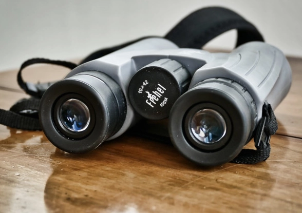 best binoculars for birding