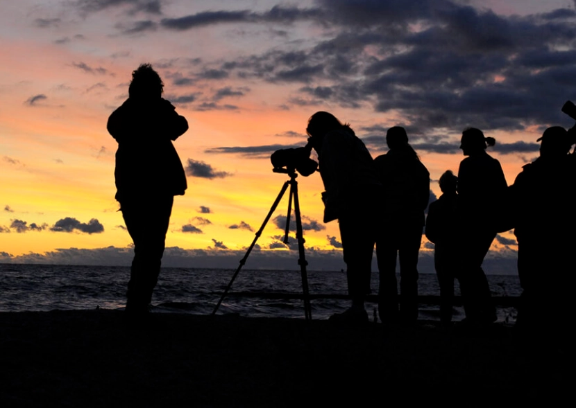 what to wear birding what to wear birding