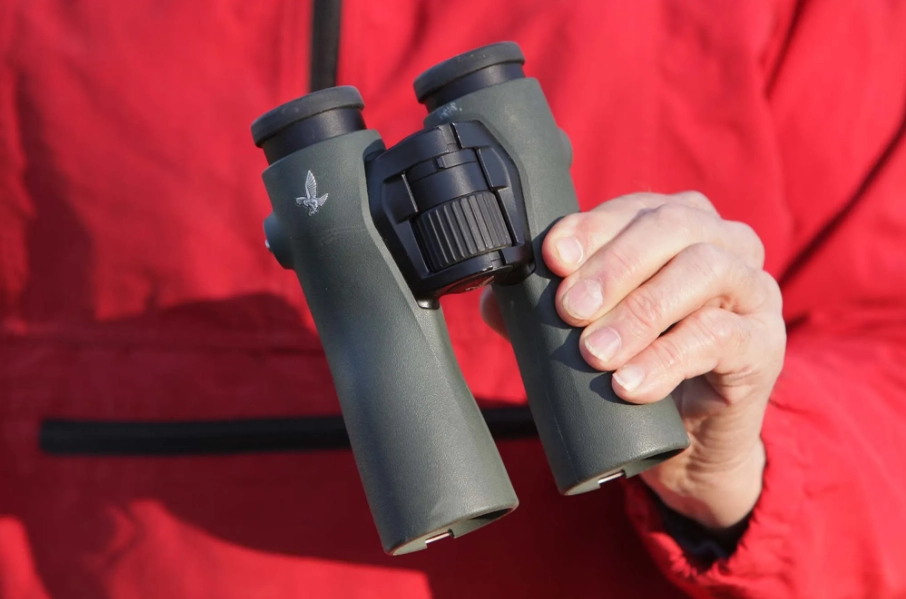 birding binoculars price