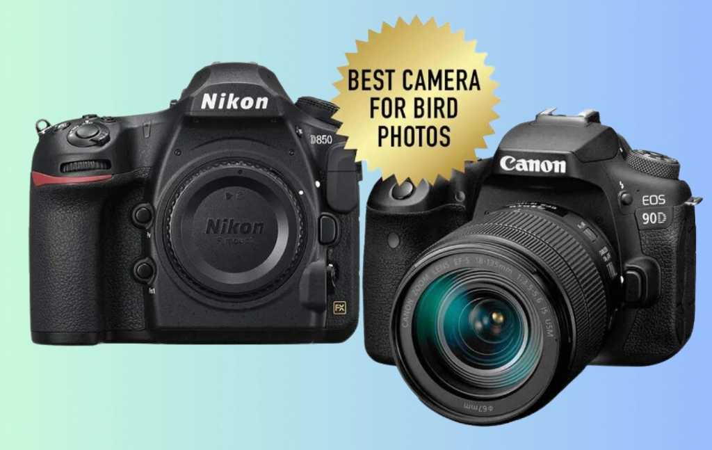 best camera for bird photography best camera for bird photography