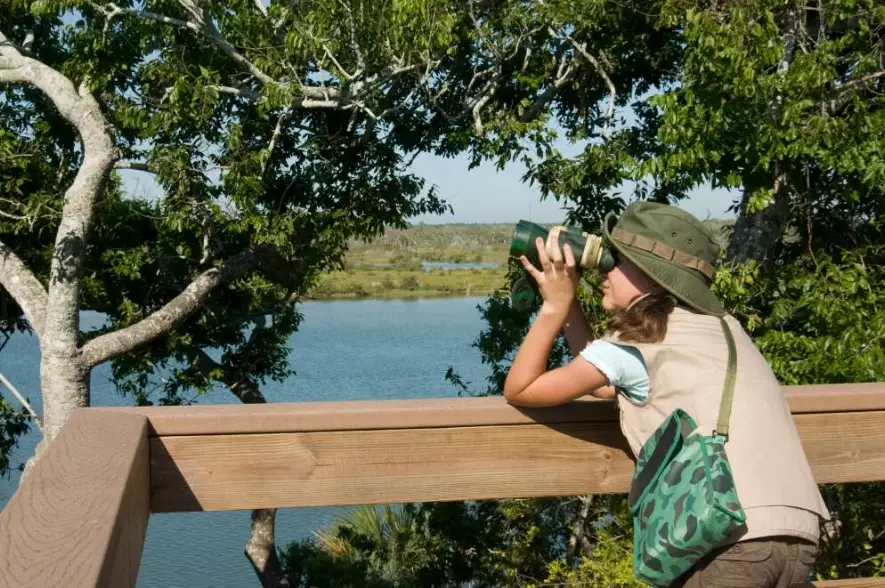 best birding spots Florida best birding spots Florida
