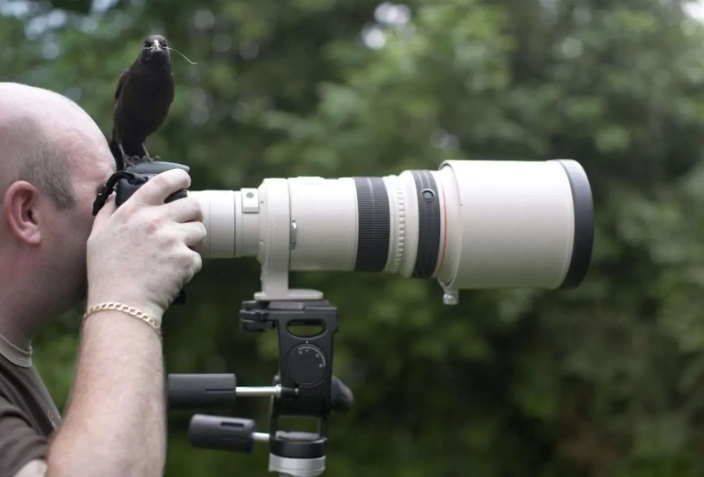 Best birding camera