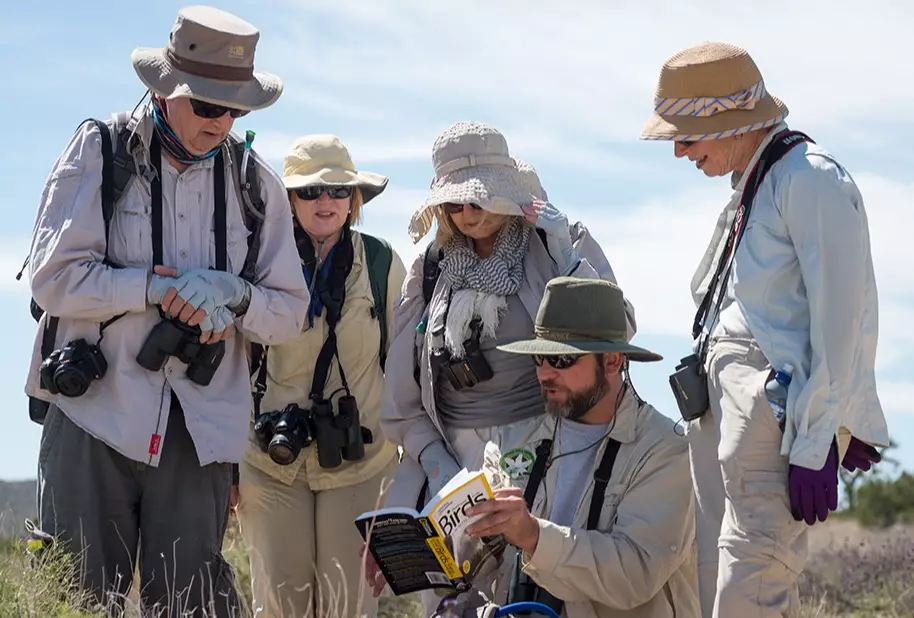 best birdwatching spots California