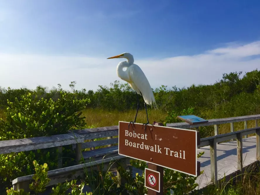 bird watching national parks bird watching national parks