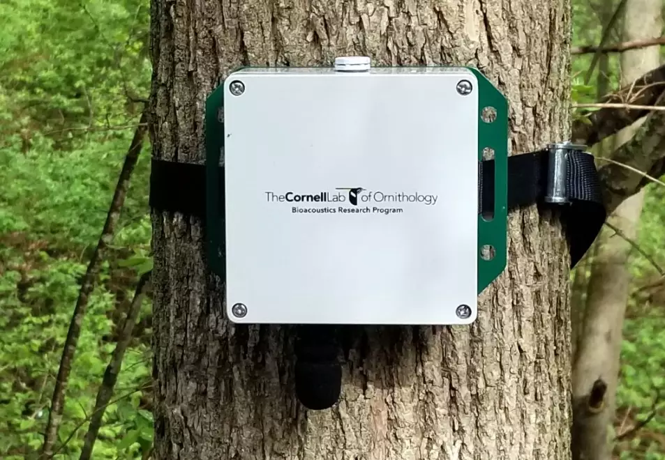 bird sound recording equipment bird sound recording equipment