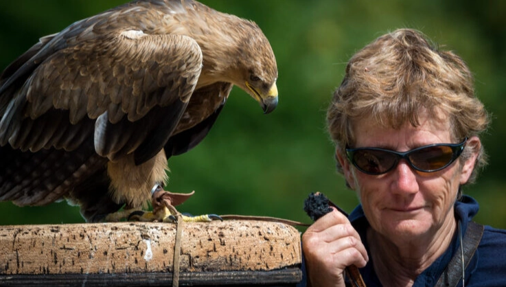 Bird sound recording equipment