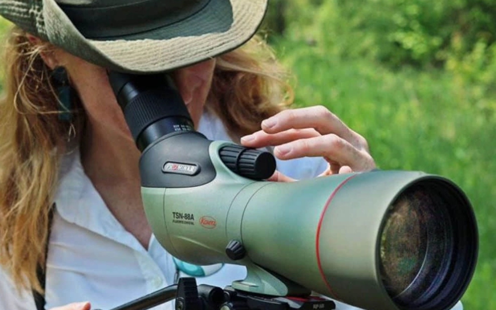What magnification telescope is best for bird watching?