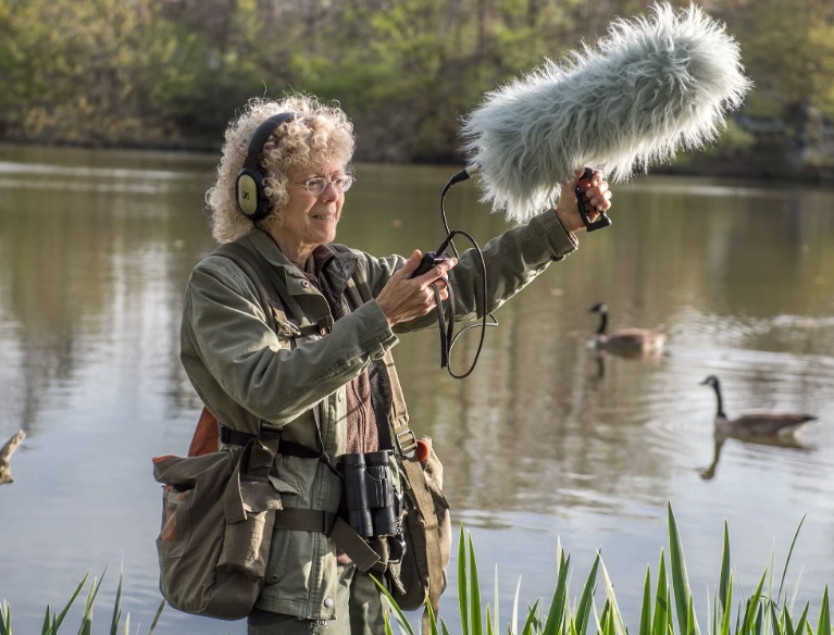 how to record bird sounds