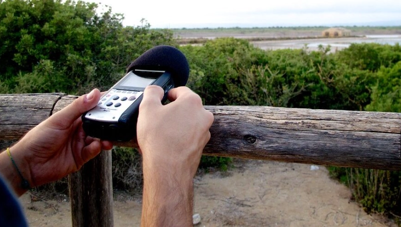 bird song recording for beginners