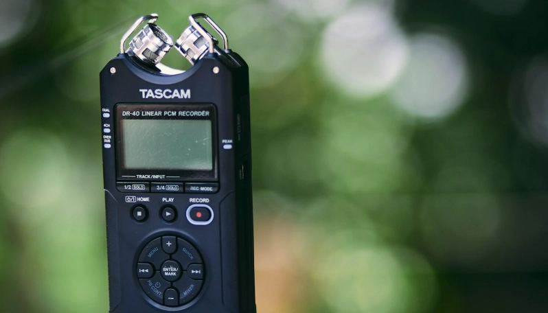 bird sound recording