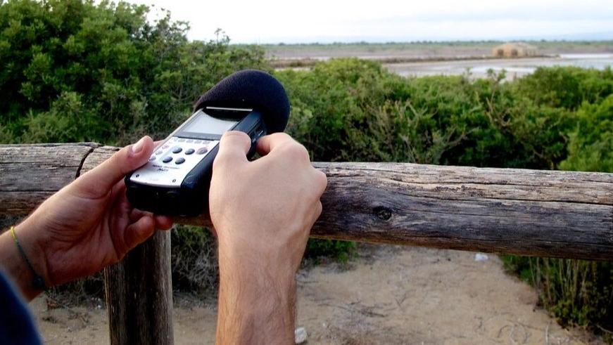 best microphone for bird sounds