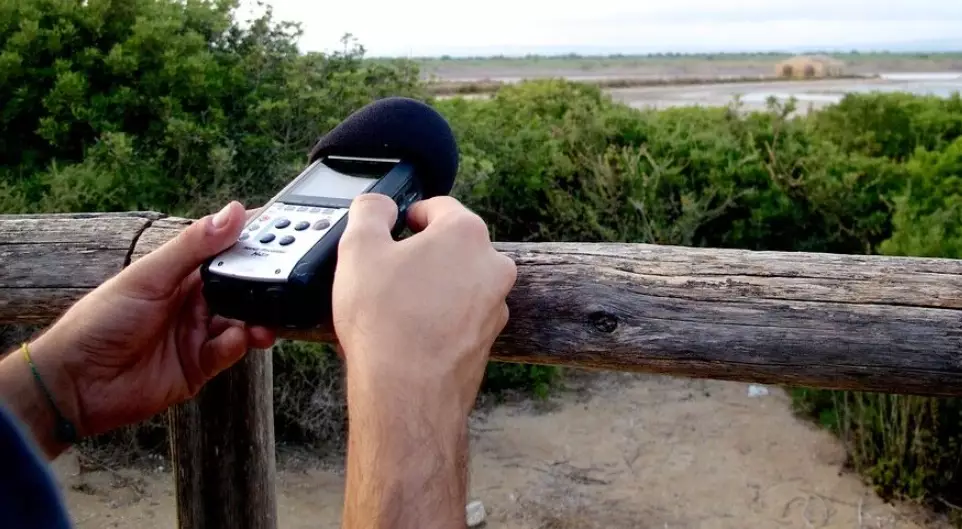 how to record bird calls