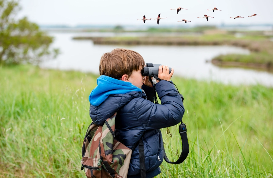 birding for beginners