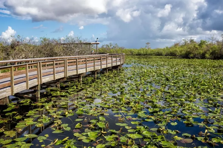 Everglades National Park itinerary
