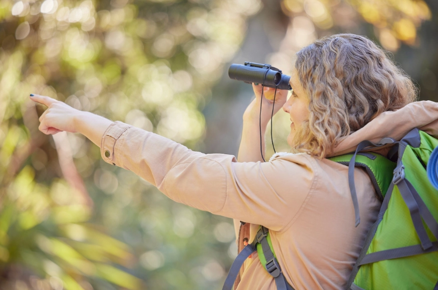 birding for beginners