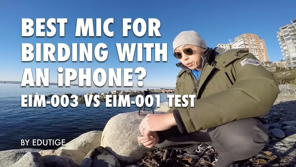 record bird sounds iphone