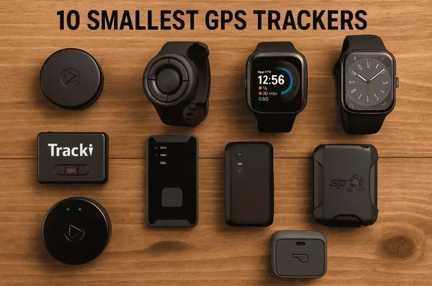 bird GPS tracking device