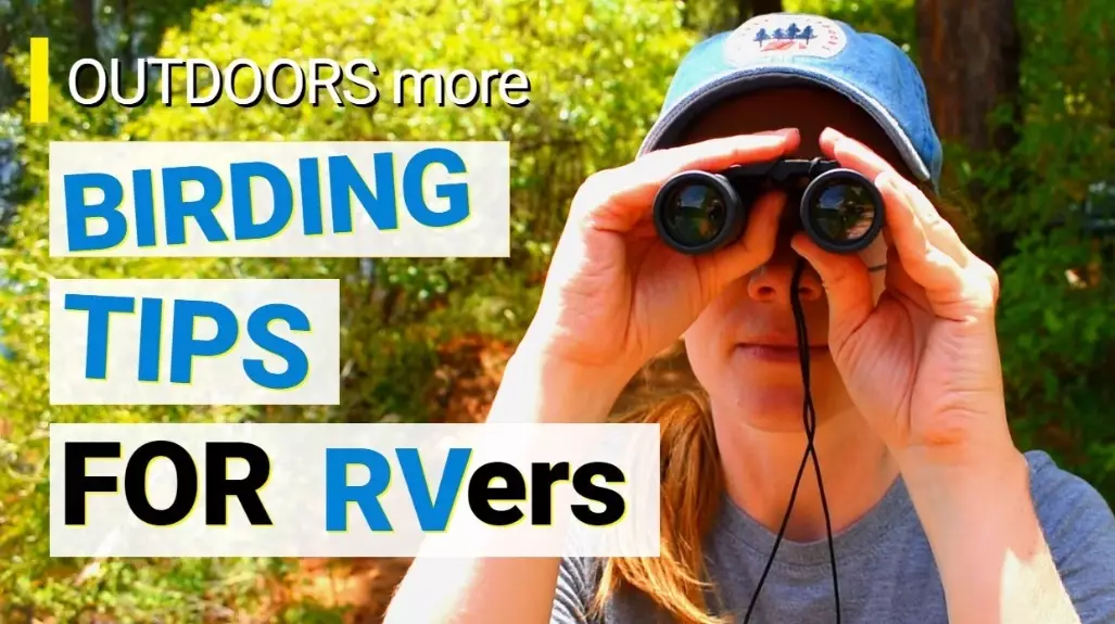 birdwatching equipment