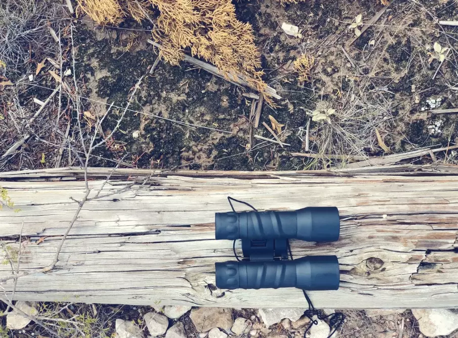 birding binoculars magnification