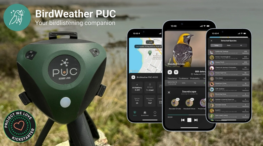 Best bird tracking devices