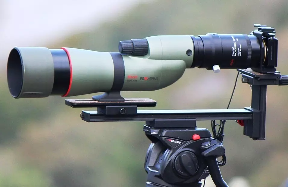 digiscoping for beginners