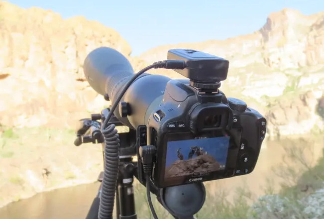 digiscoping for beginners digiscoping for beginners