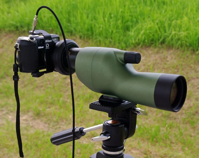 digiscoping digiscoping