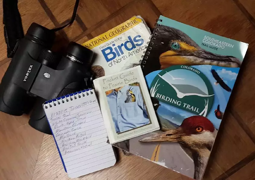 Getting started in birdwatching