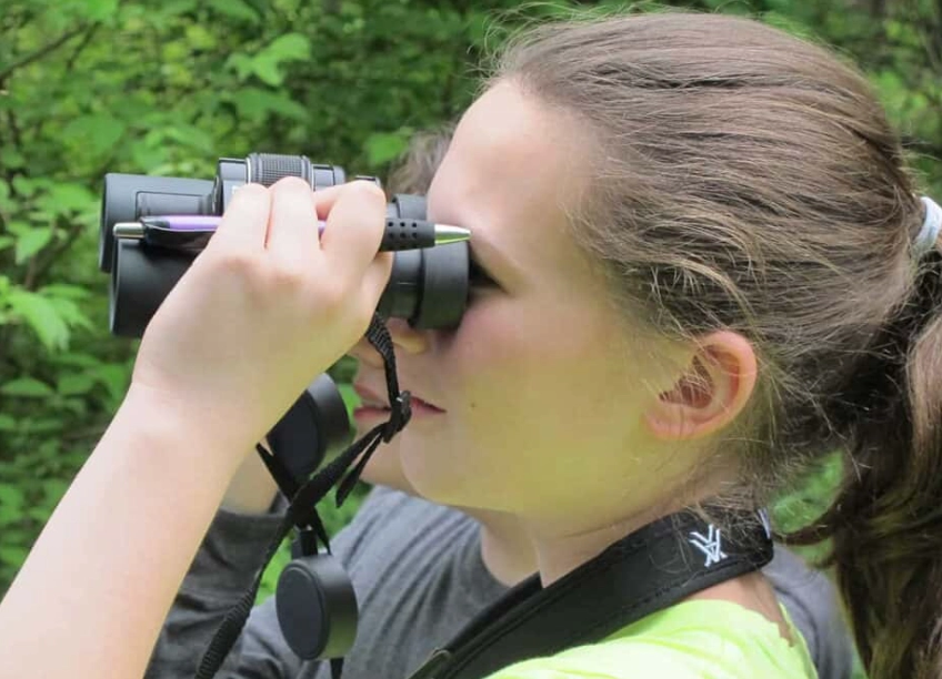 bird watching guide