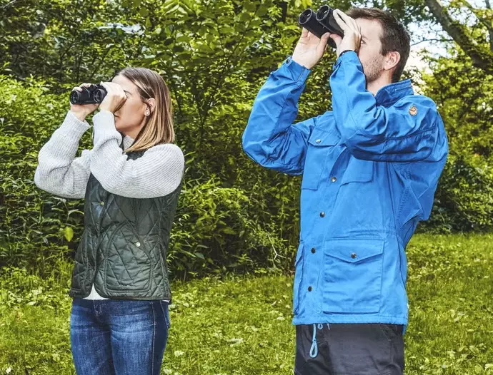 bird watching guide